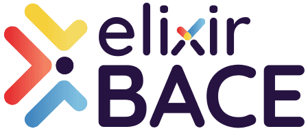 Elixir-BACE-Logo-Accounting-Billing-Payroll