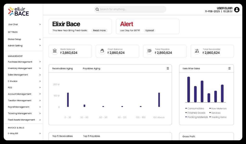 elixir-bace-accounting-payroll-billing-software